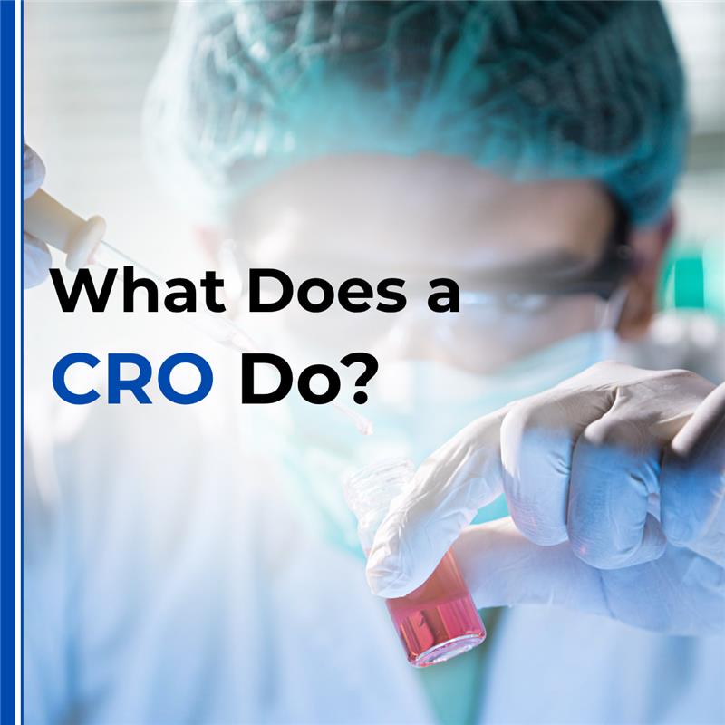 What Does a CRO Do